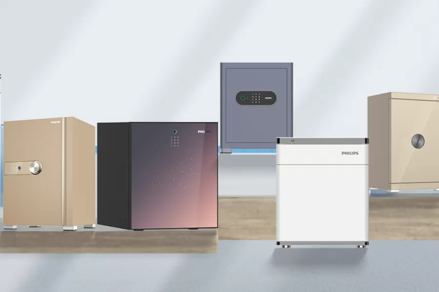 Portable Safe — A Lightweight and Secure Modern Storage Solution