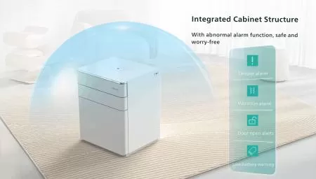 Integrated Cabinet Structure