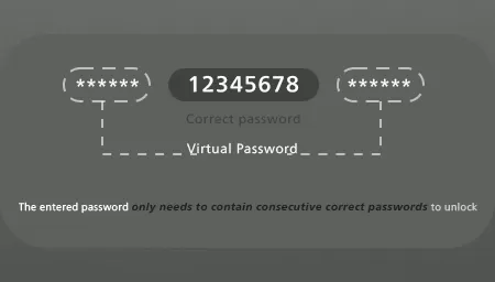 Virtual Password