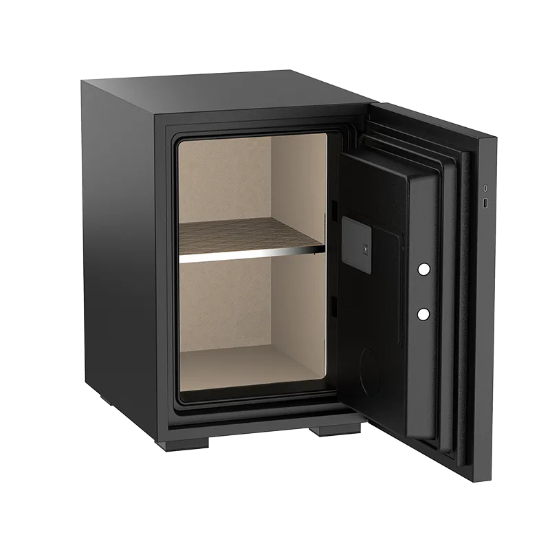 Philips Smart Safe Box SBX500 Black