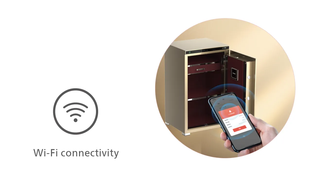 Wi-Fi connectivity