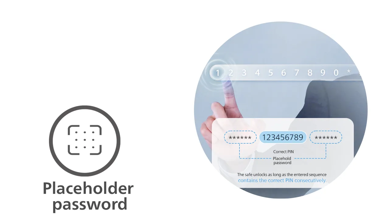 Placeholder password