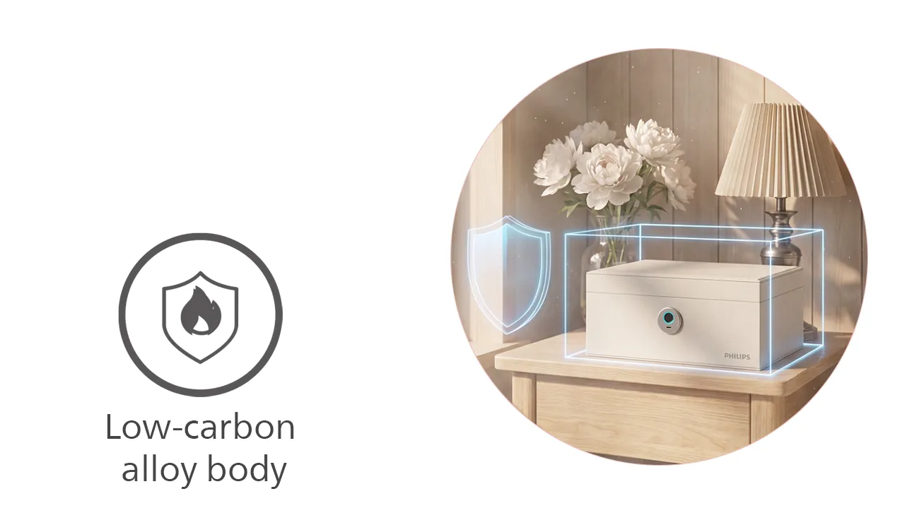 Low-carbon alloy body